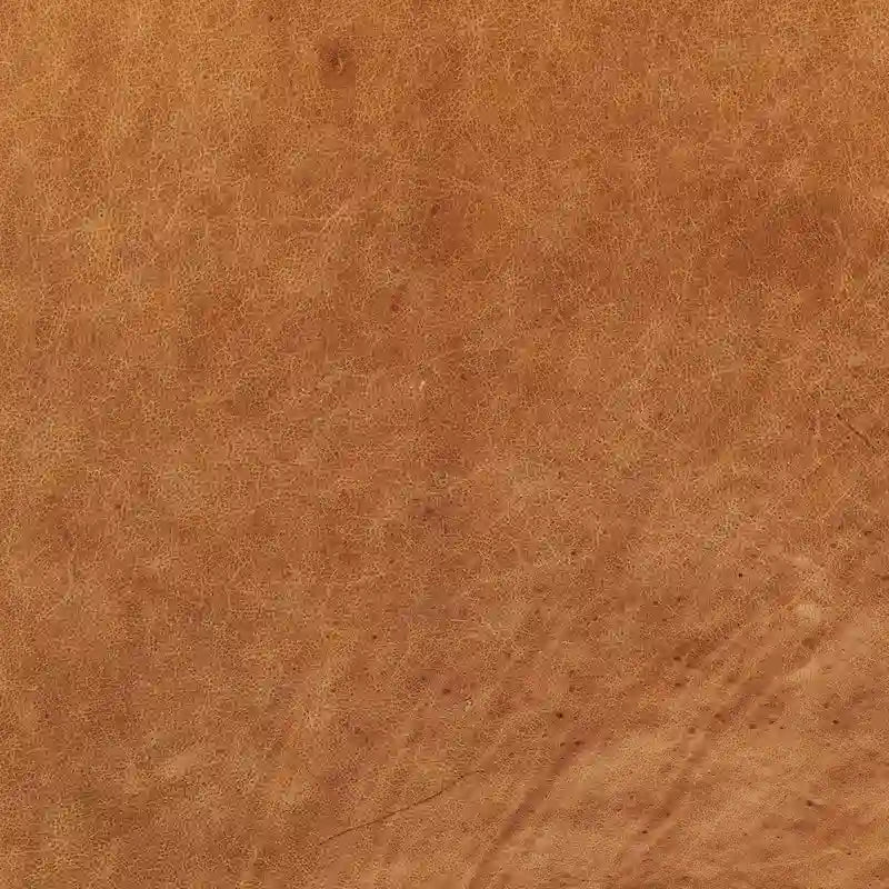 Fauteuil de salon