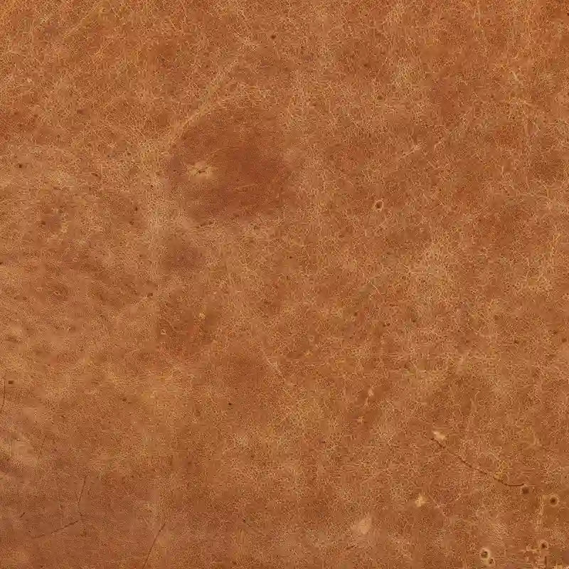 Fauteuil de salon